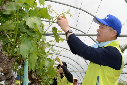 [Who Is ?] 최창수 NH농협손해보험 대표이사 사장